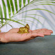 Handcrafted Nandi in Pure Brass (Design-A)