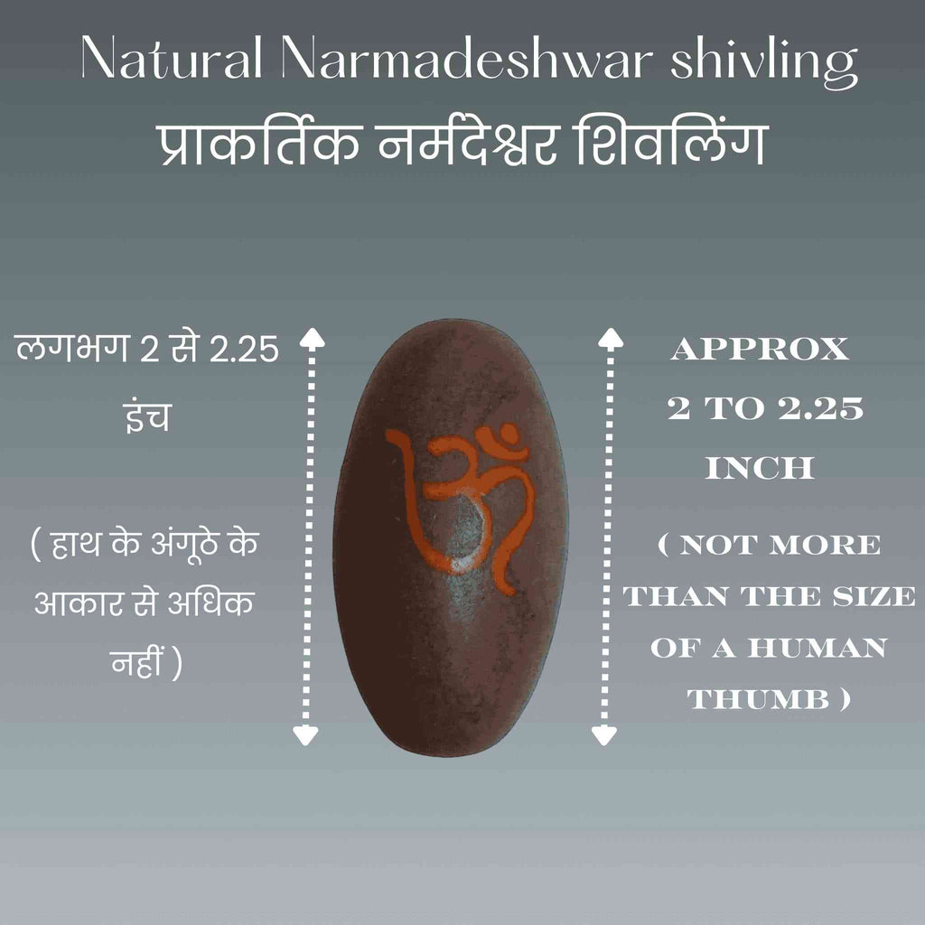 Narmadeshwar Shivling with Jaladhari and Pooja_Samagri - The Sundook